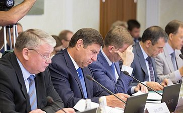 Заседание комитета по экономической политике-9 Косарев, Голушко, майоров