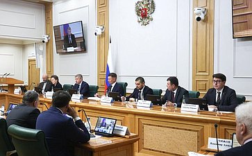 Парламентские слушания Комитета Совета Федерации по аграрно-продовольственной политике и природопользованию «Об актуализации Стратегии развития лесного комплекса Российской Федерации до 2030 года»
