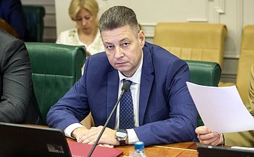 Заседание Комитета Совета Федерации по международным делам