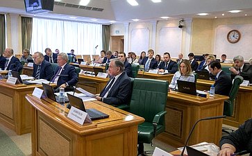 В СФ прошло заседание Комитета по конституционному законодательству и государственному строительству