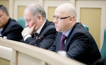 Беляков 380-е заседание Совета Федерации