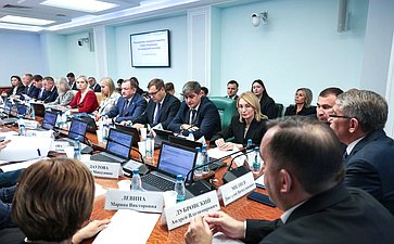 Расширенное заседание Комитета СФ по социальной политике (в рамках дней Тульской области в Совете Федерации)