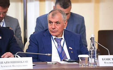 Встреча Председателя СФ Валентины Матвиенко и Председателя Совета Республики Национального собрания Республики Беларусь Натальи Кочановой с руководителями органов государственной власти субъектов Российской Федерации и регионов Республики Беларусь