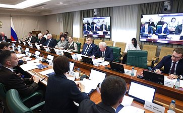 Заседание Комитета Совета Федерации по международным делам