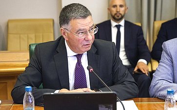 Заседание Комитета СФ по международным делам