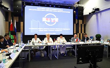 Елена Афанасьева приняла участие в пленарном заседании постоянно действующего семинара при Парламентском Собрании Союза Беларуси и России по вопросам строительства Союзного государства