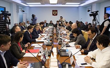 Расширенное заседание Комитета Совета Федерации по социальной политике