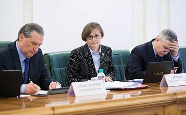 Л. Бокова Заседание Комитета Совета Федерации по конституционному законодательству и государственному строительству