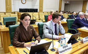 Заседание Комитета Совете Федерации по федеративному устройству, региональной политике, местному самоуправлению и делам Севера