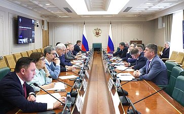 Совещание Комитета Совета Федерации по экономической политике на тему «Развитие электроэнергетического комплекса на территории Дальневосточного федерального округа»