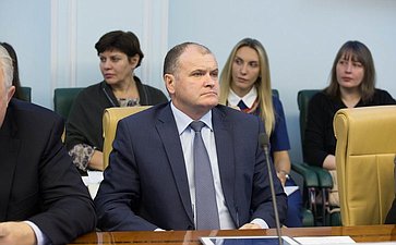 И. Чернышев Заседание Комитета СФ по социальной политике