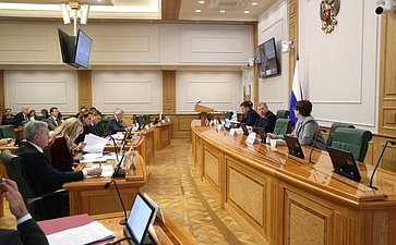 Заседание Комитета СФ по бюджету и финансовым рынкам
