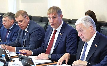 Заседание Комитета Совета Федерации по Регламенту и организации парламентской деятельности
