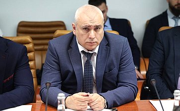 Заседание секции «Цифровая трансформация транспорта» на тему «Обсуждение концепций логистического проекта-международного транспорта БАС-Хаба с применением беспилотных летательных аппаратов между Россией и Китаем»