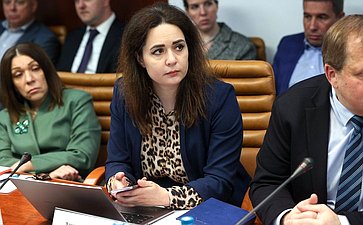 Совещание Комитета СФ по Регламенту и организации парламентской деятельности «Социализация солдат и офицеров Специальной военной операции в мирной жизни: ИТ-и технологические решения»