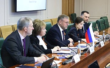 Константин Косачев встретился с Председателем Народной скупщины Республики Сербской (Босния и Герцеговина) Ненадом Стевандичем