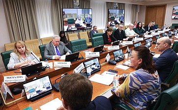 Круглый стол на тему «Актуальные вопросы обеспечения последовательной и обоснованной гуманизации уголовного законодательства Российской Федерации»