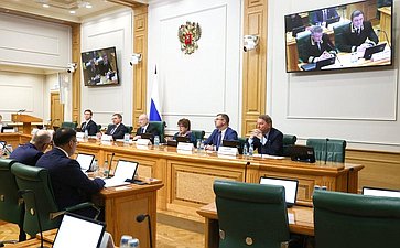 Заседание Комитета Совета Федерации по конституционному законодательству и государственному строительству