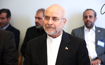 Встреча Председателя Совета Федерации Валентины Матвиенко с Председателем Собрания исламского совета Исламской Республики Иран Мохаммадом Багером Галибафом