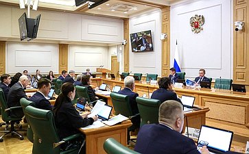 Заседание Комитета Совета Федерации по федеративному устройству, региональной политике, местному самоуправлению и делам Севера