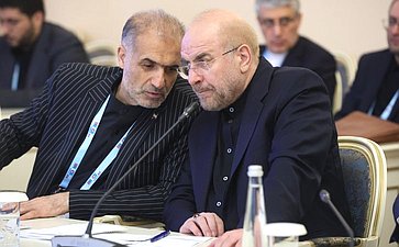 Валентина Матвиенко провела встречу с Председателем Собрания Исламского Совета Исламской Республики Иран Мохаммадом Багером Галибафом