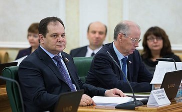 Р. Гольдштейн Заседание Комитета Совета Федерации по бюджету и финансовым рынкам