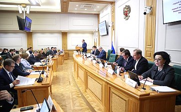 Расширенное заседание Комитета Совета Федерации по бюджету и финансовым рынкам