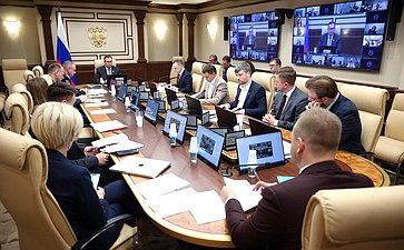 Круглый стол Комитета Совета Федерации по экономической политике «Применение беспилотных летательных аппаратов для фиксации нарушения правил дорожного движения»