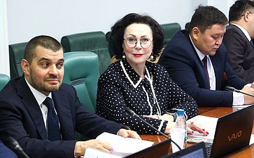 Заседание Комитета Совета Федерации по социальной политике