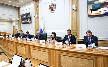 Заседание Комитета Совета Федерации по конституционному законодательству и государственному строительству