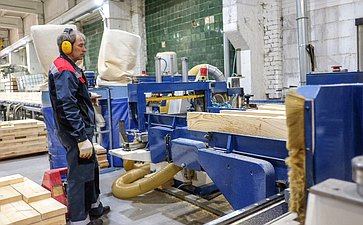 Сенаторы посетили деревоперерабатывающие предприятия в Кировской области