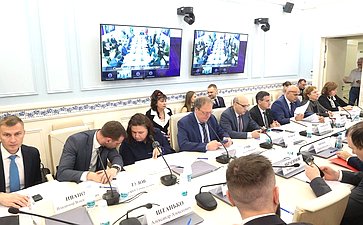 Круглый стол Комитета Совета Федерации по конституционному законодательству и государственному строительству «Адвокатура как платформа для профессионализации судебного представительства»