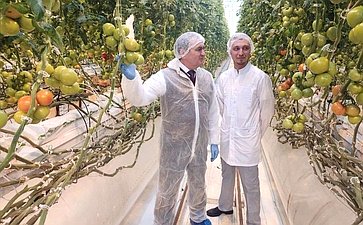 Николай Федоров посетил тепличный комплекс «Новочебоксарский»