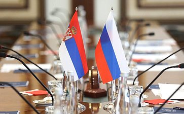 Встреча сенаторов с делегацией Народной скупщины Республики Сербии, членами фракции партии «Единая Сербия» и группы по сотрудничеству Народной скупщиной Республики Сербии с Советом Федерации