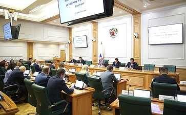 Заседание Комитета Совета Федерации по бюджету и финансовым рынкам