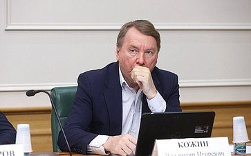 Владимир Кожин