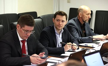 Круглый стол при Совете Федерации Федерального Собрания Российской Федерации