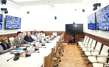 Рабочее заседание Совета Палаты молодых законодателей при Совете Федерации