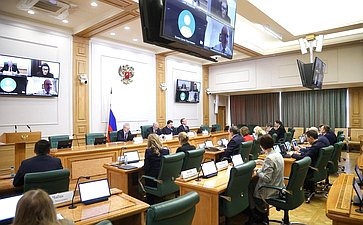Заседание Комитета Совета Федерации по бюджету и финансовым рынкам
