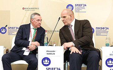 XXVII Петербургский международный экономический форум (ПМЭФ’24) «Медийный спорт: феномен и потенциал»