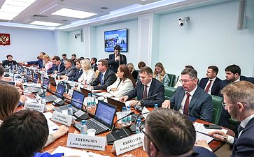 Расширенное заседание Комитета СФ по социальной политике (в рамках Дней Чукотского автономного округа в Совете Федерации)