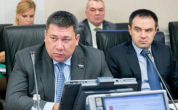 В. Полетаев Заседание Комитета Совета Федерации по Регламенту и организации парламентской деятельности
