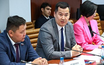 Заседание Экспертного совета по здравоохранению при Комитете Совета Федерации по социальной политике на тему «Актуальные вопросы развития санаторно-курортного комплекса Российской Федерации»