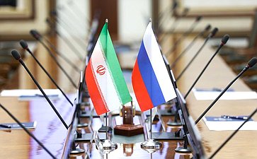 Встреча заместителя Председателя Совета Федерации с Чрезвычайным и Полномочным Послом Исламской Республики Иран в Российской Федерации Каземом Джалали
