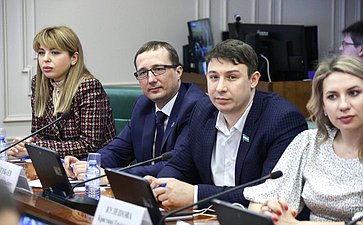 Заседание Совета Палаты молодых законодателей при СФ