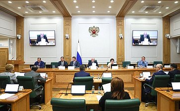 Заседание Комитета Совета Федерации по конституционному законодательству и государственному строительству