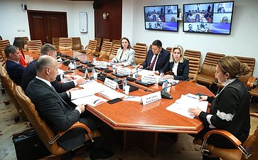 Круглый стол Комитета Совета Федерации по социальной политике «Актуальные вопросы реализации в субъектах Российской Федерации национального проекта «Продолжительная и активная жизнь»»