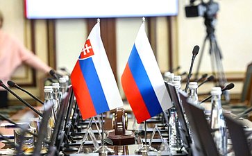 Встреча председателя Комитета СФ по международным делам и председателя Комитета СФ по Регламенту и организации парламентской деятельности с независимым членом Европарламента, депутатом словацкой партии «Курс-социальная демократия»