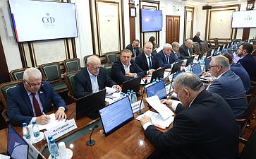 Заседание Комитета Совета Федерации по обороне и безопасности