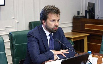 Расширенное заседание Комитета СФ по международным делам «О международных и внешнеэкономических связях Саратовской области» (в рамках Дней Саратовской области в Совете Федерации)